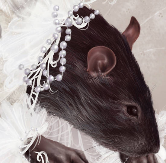 black rat